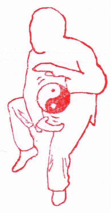 La photo des parasites du corps de la personne
